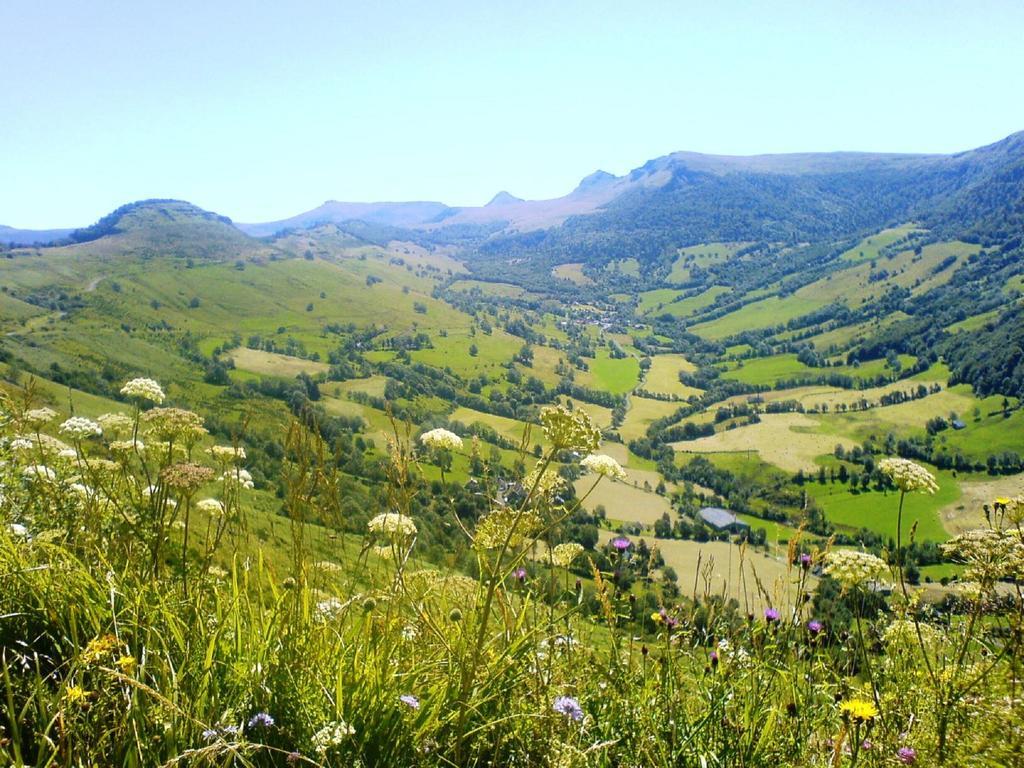 Domaine De La Chaux De Revel Casa de hóspedes Saint-Martin-Valmeroux Exterior foto